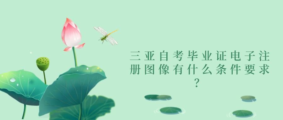三亚自考毕业证电子注册图像有什么条件要求? 三亚自考毕业证电子注册图像有什么条件要求?