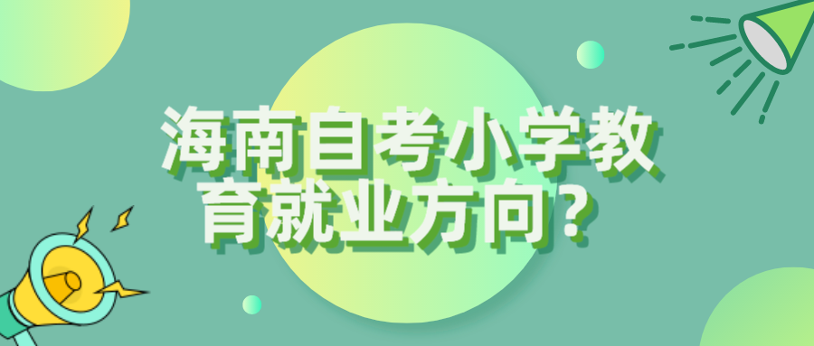 海南自考小学教育的就业方向？