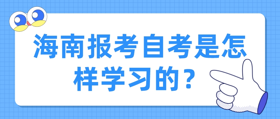 海南报考自考是怎样学习的？