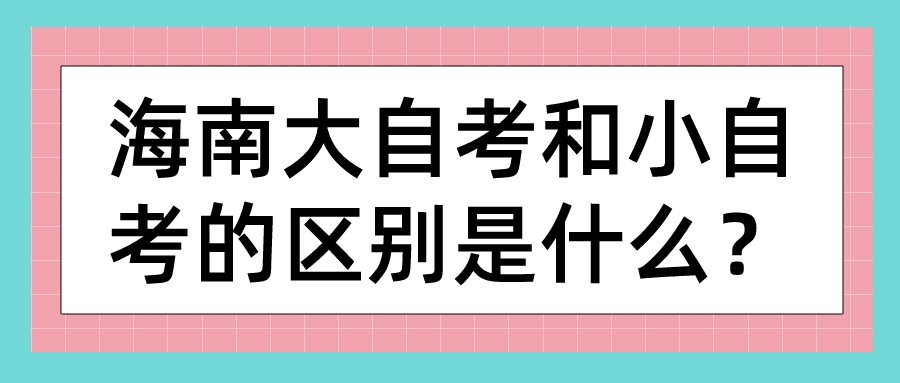 海南大自考和小自考的区别是什么？