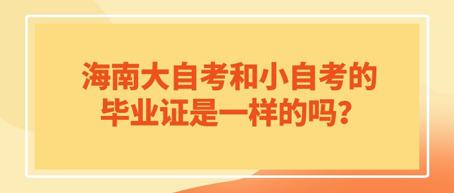 海南大自考和小自考的毕业证是一样的吗？