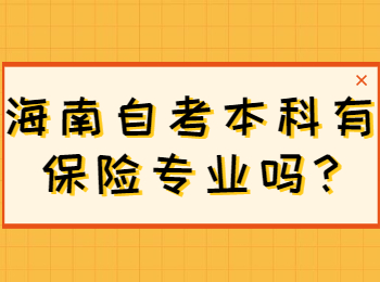 海口自学考试本科有保险专业吗