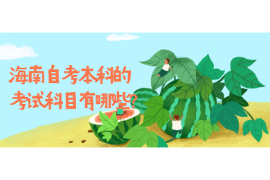 海口自学考试本科的考试考试科目有哪些