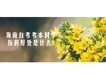 屯昌自学考试考本科学历的益处是什么